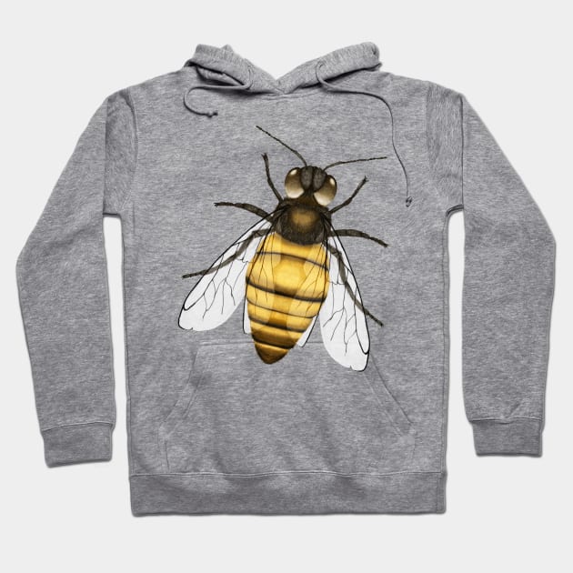 Bee pencil drawing color version Hoodie by Bwiselizzy